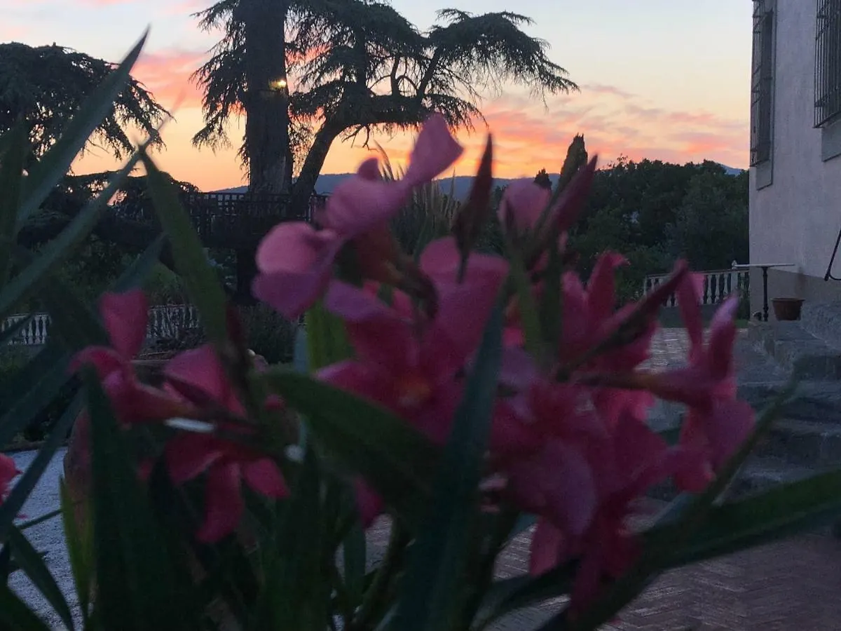 Villa D'Arte Agri Resort Pontassieve 0*,